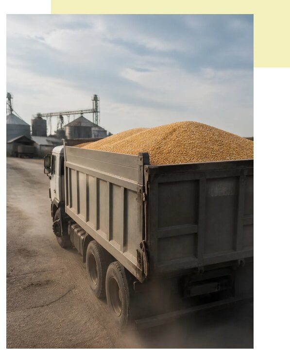 Перевозка сельхозпродукции навалом в Воткинск по цене от 3108 р. | Агросервис-Втк